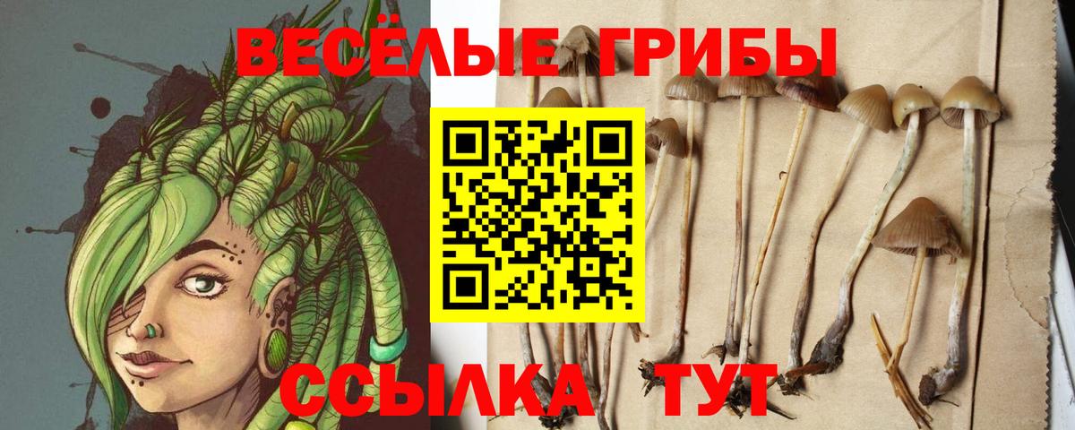 Галлюциногенные грибы прущие грибы  Галлюциногенные грибы Psilocybine cubensis  Иваново  Вход с VPN 